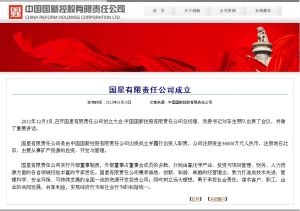 國星有限責任公司 國星有限責任公司