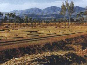 周原遺址 周原遺址