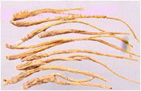 桂枝加芍藥防風防己湯 桂枝加芍藥防風防己湯