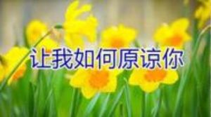 讓我如何原諒你 讓我如何原諒你