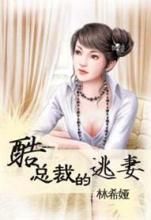 酷總裁的逃妻