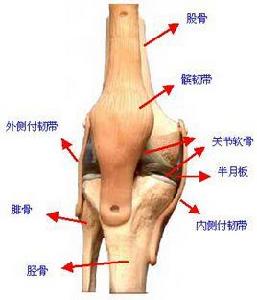 閉合性跌打損傷 閉合性跌打損傷