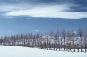 新疆生產建設兵團農十師