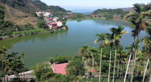 溪頭自然教育園區 溪頭自然教育園區