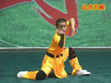 虎拳[中國傳統武術流派之一]