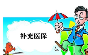 團體補充醫療保險