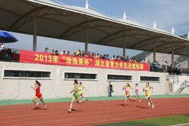 2013年湖北省青少年田徑錦標賽 2013年湖北省青少年田徑錦標賽