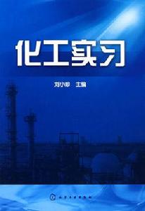 化工實習 化工實習