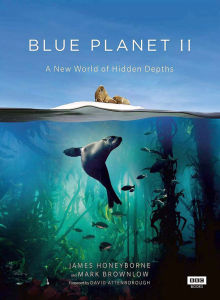 藍色星球2 藍色星球2