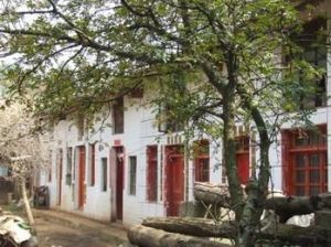 哈克自然村 哈克自然村