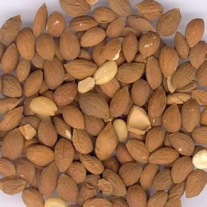 郁李仁提取物 郁李仁提取物