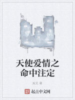 天使愛情之命中注定 天使愛情之命中注定
