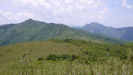 東坪溝高山草甸