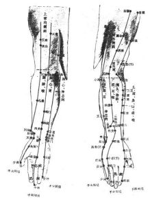 （圖）上肢部經絡腧穴