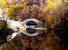 森林公園風景名勝區