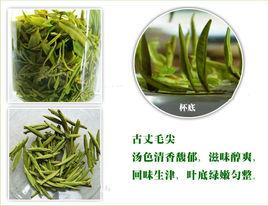 古丈毛尖 古丈毛尖