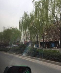 西安新房村 西安新房村