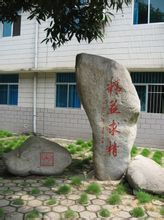 廣西區腫瘤醫院 廣西區腫瘤醫院