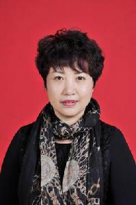 王安安[湖南艾華集團股份有限公司負責人]