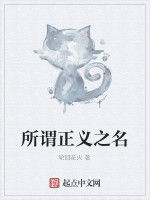 所謂正義之名 所謂正義之名