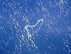 沃特環礁 沃特環礁