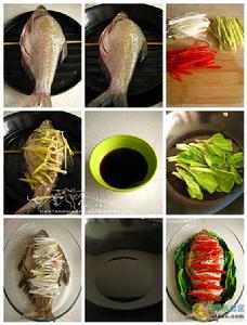 清蒸素鯿魚製作工藝