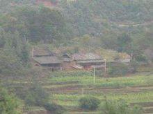 白草坪村[雲南省宣威市龍場鎮白草坪村]