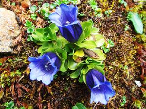 攝影：桐壺更衣