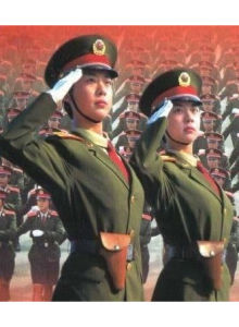 軍中綠花 軍中綠花