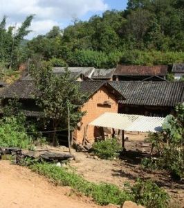 楊家村自然村 楊家村自然村