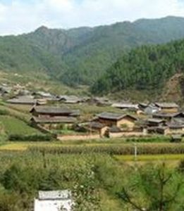 上王家自然村 上王家自然村