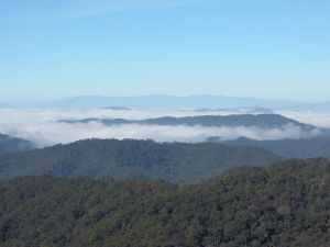 雲南納版河流域自然保護區 雲南納版河流域自然保護區