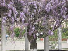 杜橋中學[浙江省臨海市中學]