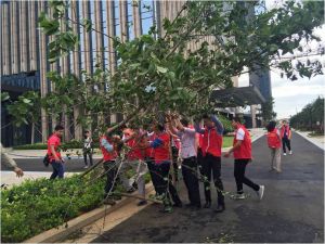 小紅豆抗擊莎莉嘉