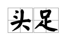 頭足 頭足