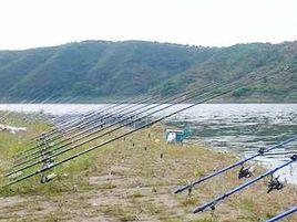 沙場水庫 沙場水庫