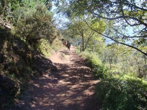 打拉坪自然村 打拉坪自然村