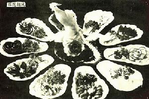 百花朝鳳 百花朝鳳