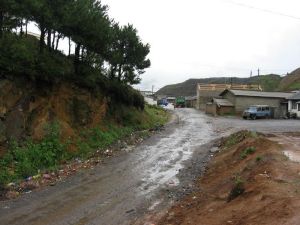 竹蘭箐村 竹蘭箐村