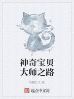 神奇寶貝大師之路 神奇寶貝大師之路