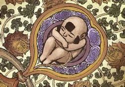 胎元命宮 胎元命宮