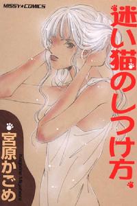 迷路貓咪的飼養方法 迷路貓咪的飼養方法