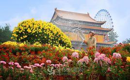 張花園村 張花園村