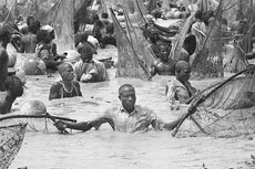 捕魚節[奈及利亞]