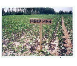 無差別降解 無差別降解