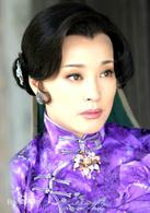 野玫瑰不流淚[2008年劉曉慶、田麗主演電視劇]