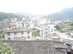 延平二自然村 延平二自然村