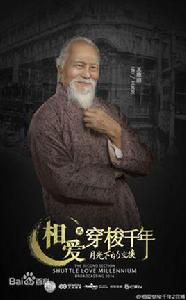 王思平[電視劇《相愛穿梭千年2》中人物]