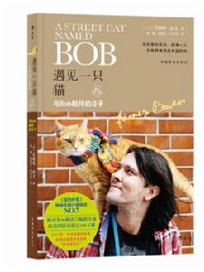 遇見一隻貓:與Bob相伴的日子 遇見一隻貓:與Bob相伴的日子