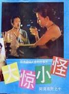 大驚小怪[2000年丁晟執導電影]